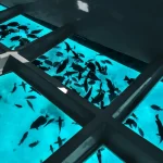 Galerie Thumbnail 6